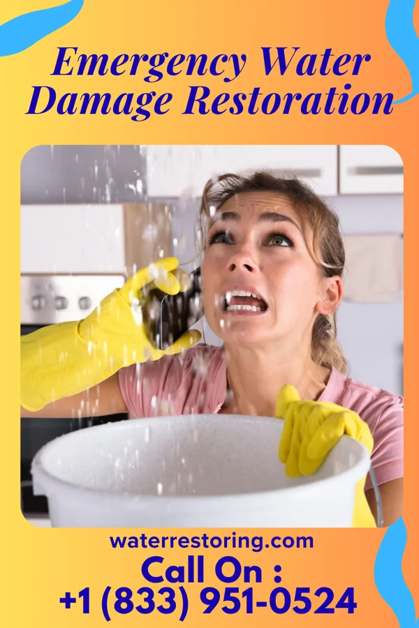 Emergency Water Damage Restoration in Fortuna, ND