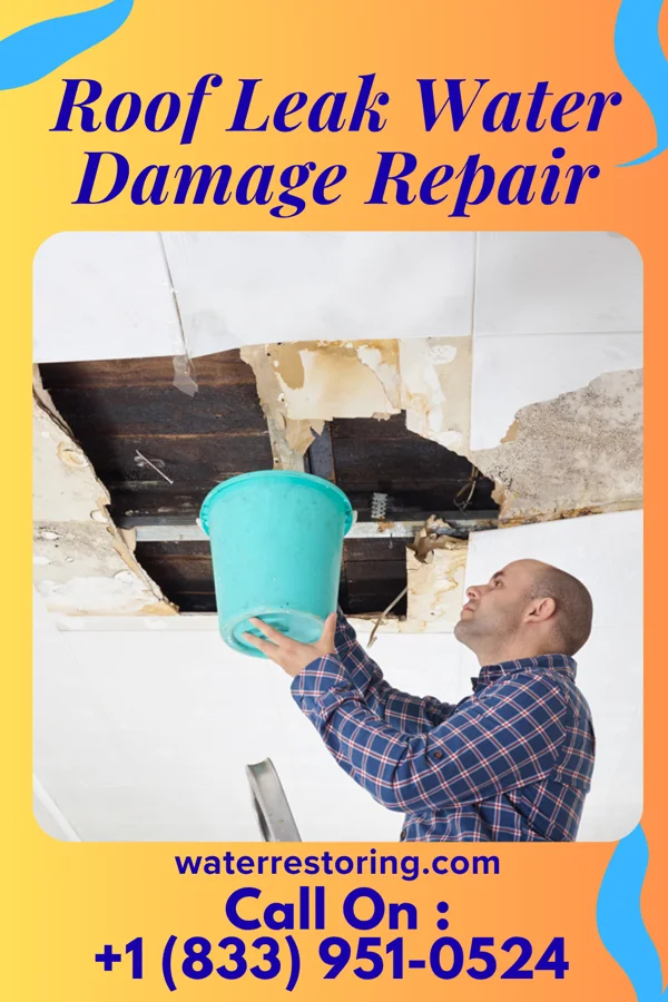 Roof Leak Water Damage Repair in Fortuna, ND